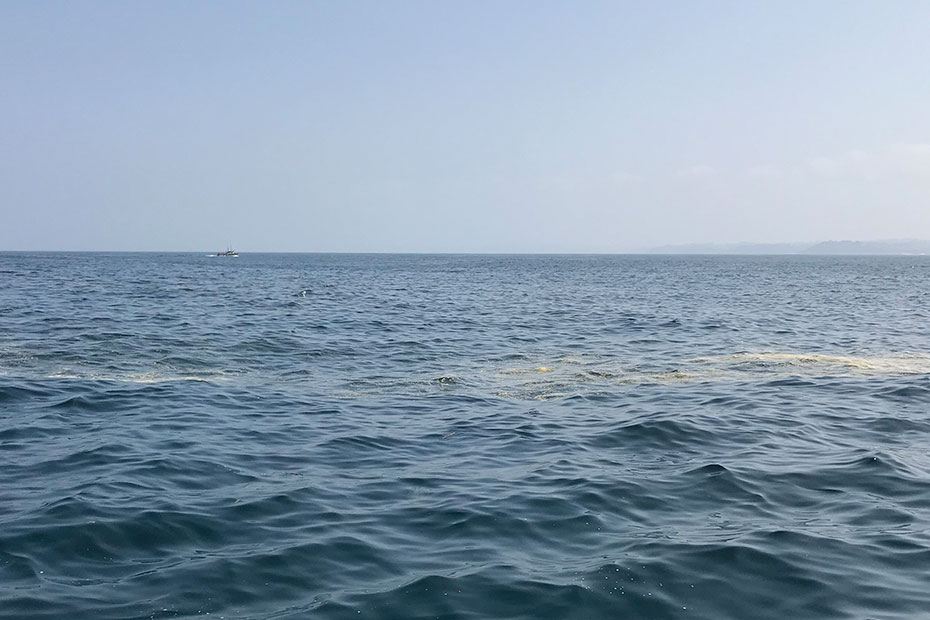 marine_litter-in_Bay_Biscay